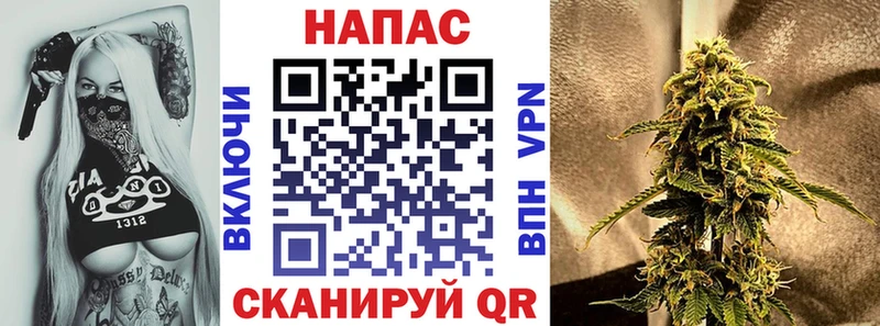 Купить где  Тюкалинск  Конопля планчик 